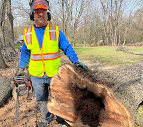 The Tree Guy Services LLC - Jackson, MI