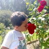 Andalusia Gardens gallery