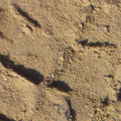 Gallery Image Number 5