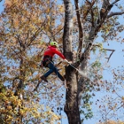 Northside Tree Professionals