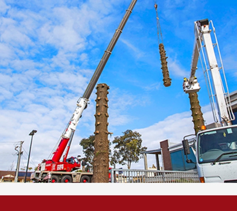 Western District Crane Services - Warrnambool, VIC. We source premium quality cranes locally and internationally at competitive prices.