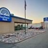 Sunflower Bank gallery