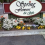 Spring Flowers & Gifts