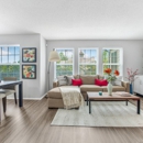 Park Laureate Apartment Homes - Apartments