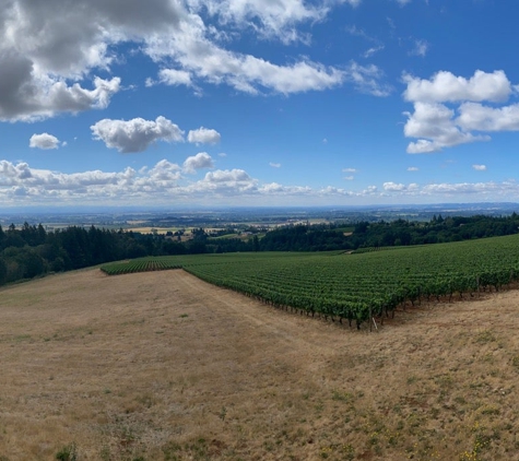 Domaine Drouhin Oregon - Dayton, OR