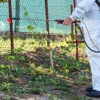 D L Hildreth Pest Control gallery
