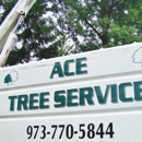 Ace Tree Service - Tree Service