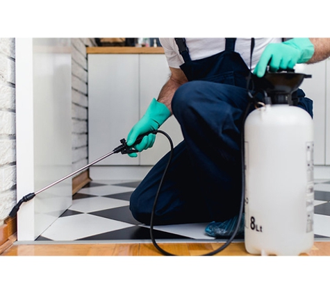 BP Homecare Pest Control - North Perth, WA