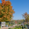 Moon Valley Nurseries gallery