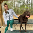 Camp Green Dog & Doggie Daycare - Hostels