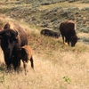 Hot Springs State Park gallery