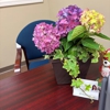 Erin Barrett - State Farm Insurance Agent gallery