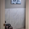 Affordable Veterinary Care Center gallery