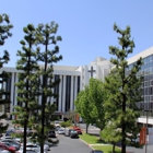 Occupational Health Services at Dignity Health-St. Bernardine Medical Center