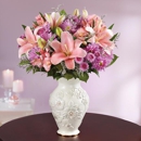 Amour Flowers - Florists