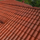 Dolphin Roofing