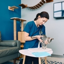Petvet365 - Veterinary Clinics & Hospitals