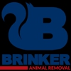 Brinker Animal Removal gallery