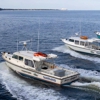 Miss Susie Charters gallery