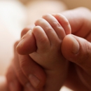 The Independent Insurance Agency - Insurance