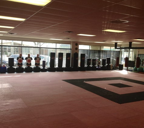 Allen Park Martial Arts Center - Allen Park, MI