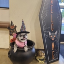 VCA Care Animal Hospital - Pet Services