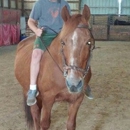 Wright-Way Equestrian Center Inc. - Horse Training
