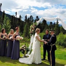 The Flower Girl - Florists