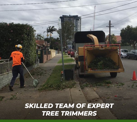 Plumb Trees - Croydon Park, NSW. Skilled Team Of Expert Tree Trimmers