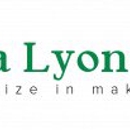 Joshua Lyons Marketing - Internet Marketing & Advertising
