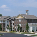 The McNeel Apartments - Apartments