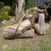 Gallery Image Number 1