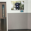 VCA Town Center Animal Hospital gallery