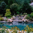 Phillips Pools & Spa