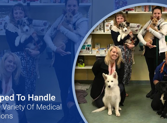 Belmont Avenue Veterinary Hospital - Belmont, WA. Equipped To Handle A Wide Variety Of Medical Conditions