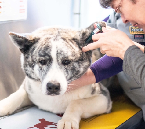 Riverbend Veterinary PetCare Hospital - Charlotte, NC