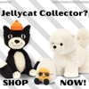 BrainyZoo Toys gallery