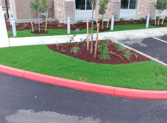 Hydroseeding & Bark Blowers - Orting, WA