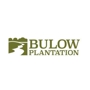 Bulow Plantation
