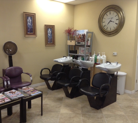 ZZ Styling Salon - Tampa, FL