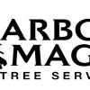 Arbor Magic Tree Services gallery