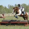 Hampton Cove Equestrian Center gallery