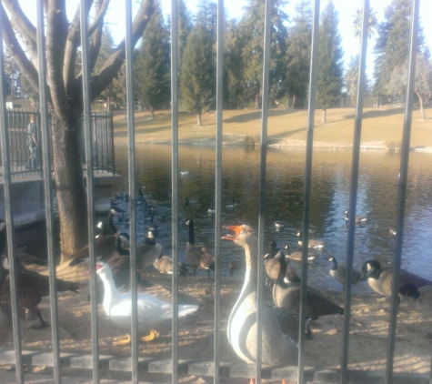 Oso de Oro Park - Fresno, CA