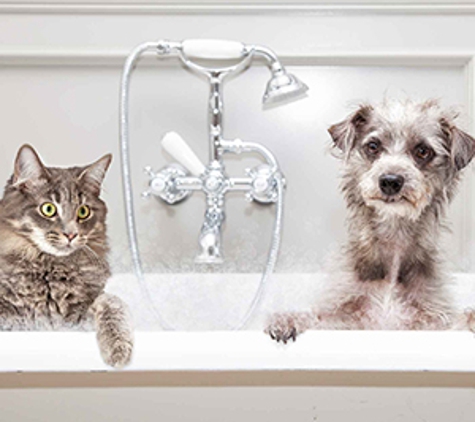 Avonsleigh Veterinary Clinic - Avonsleigh, VIC