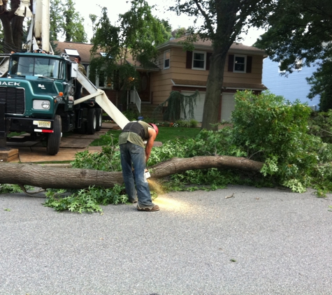 Nature Tree Service - Oak Ridge, NJ