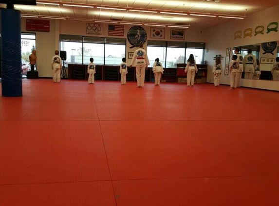 Master Kim's World Class Tae Kwon Do Martial Arts - Saint Paul, MN