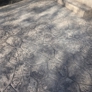 Photo #31