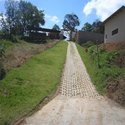 Gallery Image Number 7
