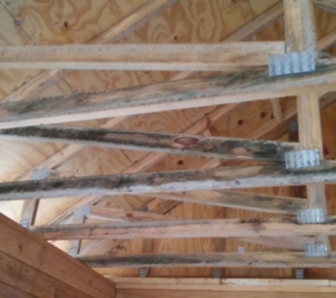 Southern Log Home Builders, Inc - Tavares, FL. Mold Covered Trusses