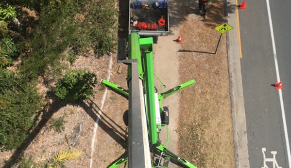 Steve's Tree Cutting - Wurtulla, QLD
